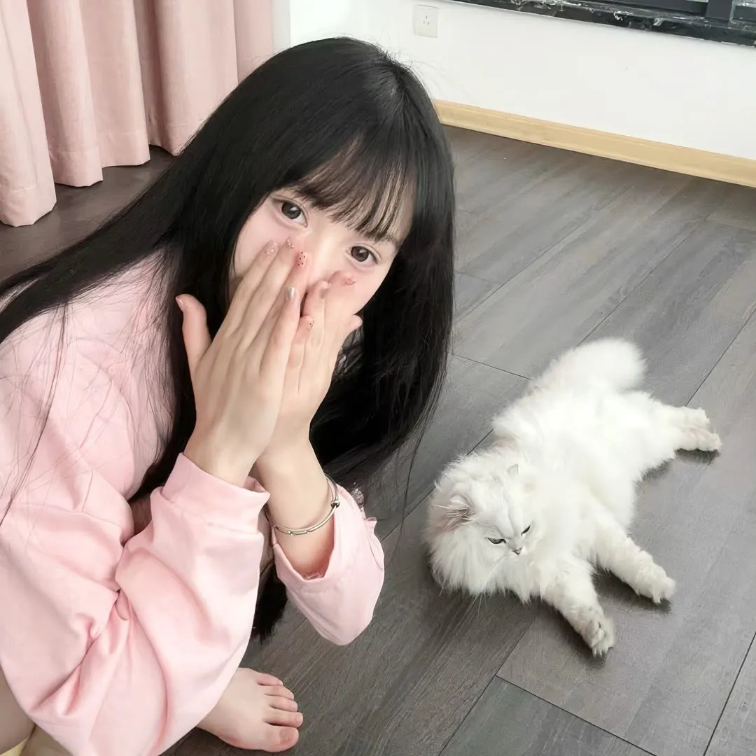 好奇的乔治3:回到丛林